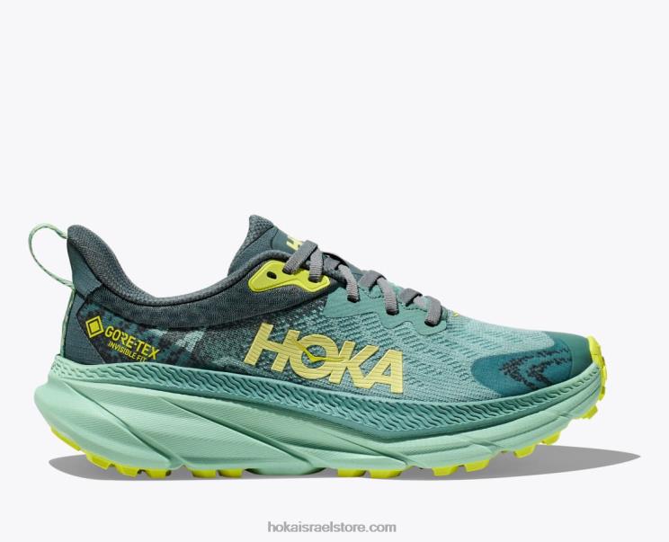 נשים Hoka סבכה/בלסם ירוק צ'לנג'ר 7 gtx JTHXL94